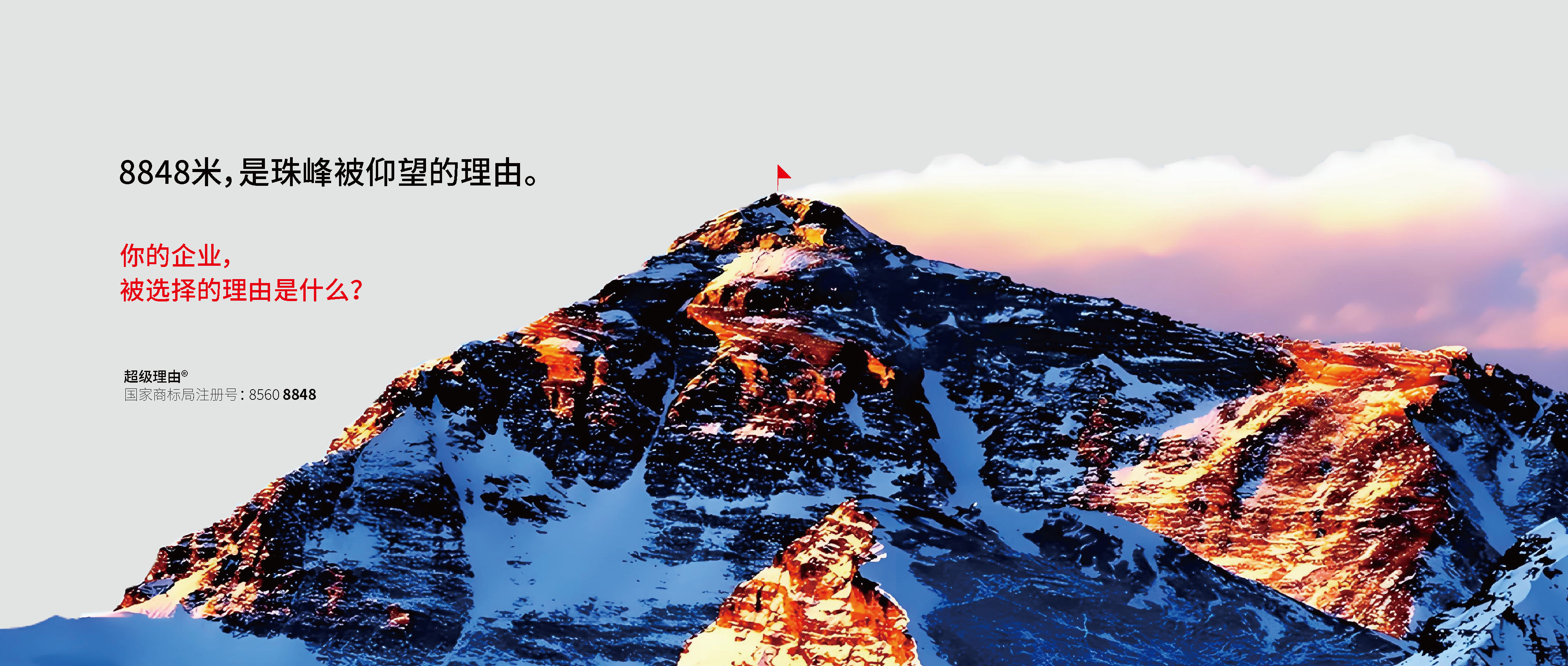 选你的理由是什么？