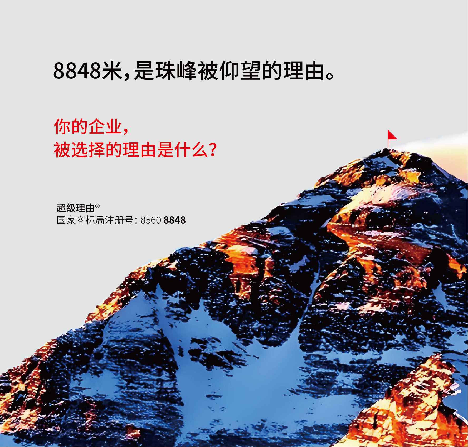 选你的理由是什么？